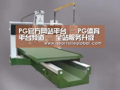 产品名称十