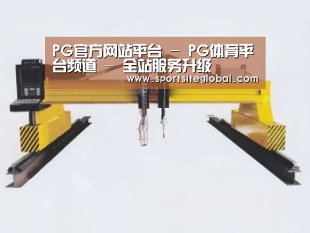 产品名称十九