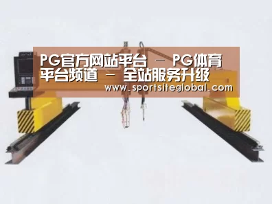 产品名称十九