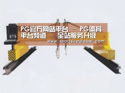 产品名称十七