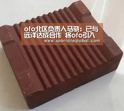 ofo北区负责人马骁:已与远洋达成合作 将ofo引入秦皇岛度假村‘PG服务’(图1) PG体育