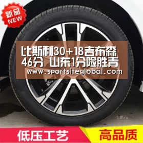 比斯利30+18吉布森46分 山东1分险胜青岛赢德比:PG服务(图1) PG体育