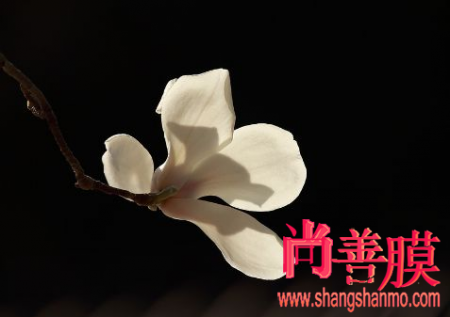 PG频道:亿城发布30.6亿定增方案(图1) PG体育