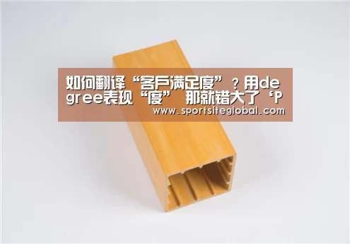 如何翻译“客户满足度”?用degree表现“度” 那就错大了‘PG服务’(图1) PG频道
