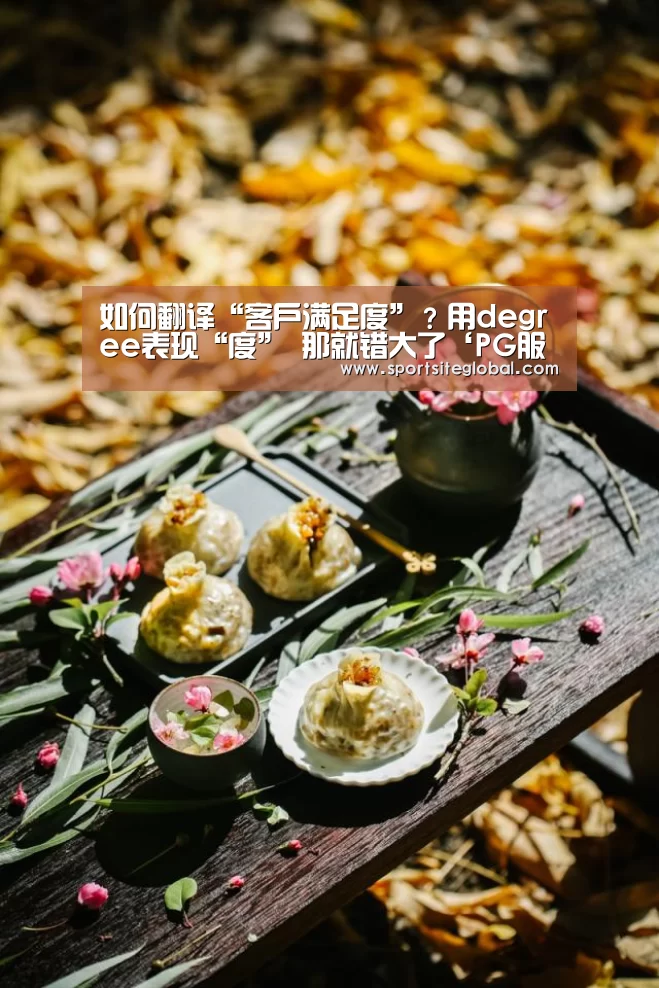 如何翻译“客户满足度”?用degree表现“度” 那就错大了‘PG服务’(图4) PG体育