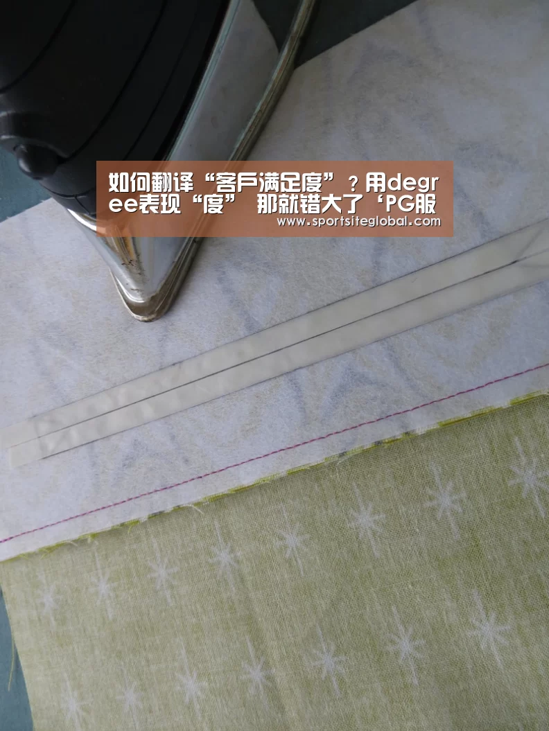 如何翻译“客户满足度”?用degree表现“度” 那就错大了‘PG服务’(图2) PG服务